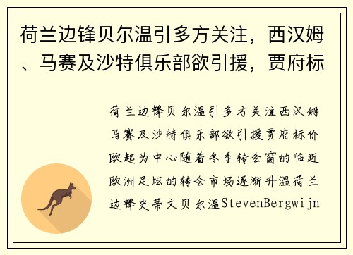 荷兰边锋贝尔温引多方关注，西汉姆、马赛及沙特俱乐部欲引援，贾府标价欧起